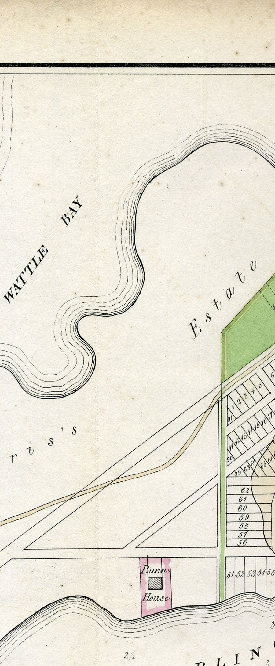 Plan Of Sydney With Pyrmont 1836